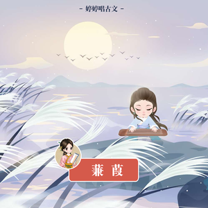 高端效率小狐导航
