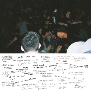 高端效率小狐导航
