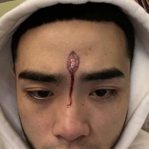 高端效率小狐导航
