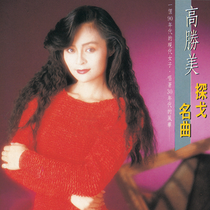 高端效率小狐导航
