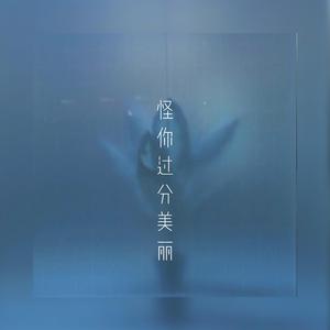 高端效率小狐导航
