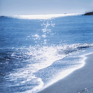 高端效率小狐导航
