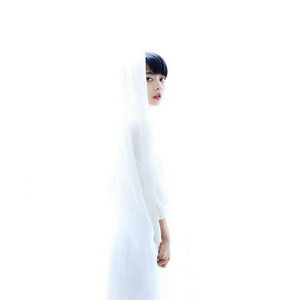 高端效率小狐导航
